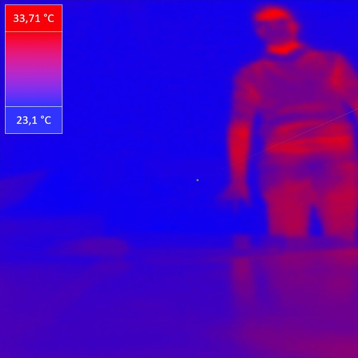 Virtual Human